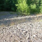 Halde minière typique du site des Hautes-Mynes du Thillot