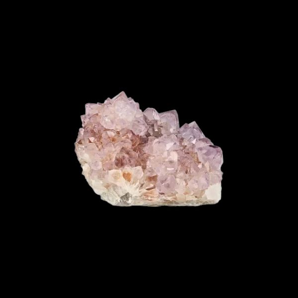 Vue de profil latérale d’une améthyste cactus naturelle du Boekenhoutshoek, montrant les détails des cristaux et la profondeur de la couleur rosée.