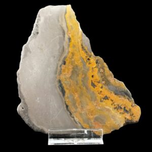 Plaque jaune grise de Bumblebee Stone poli, montrant des bandes minérales naturelles