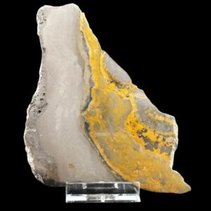 Gros plan d’une plaque Bumblebee Stone polie présentant des bandes grises et jaunes naturelles