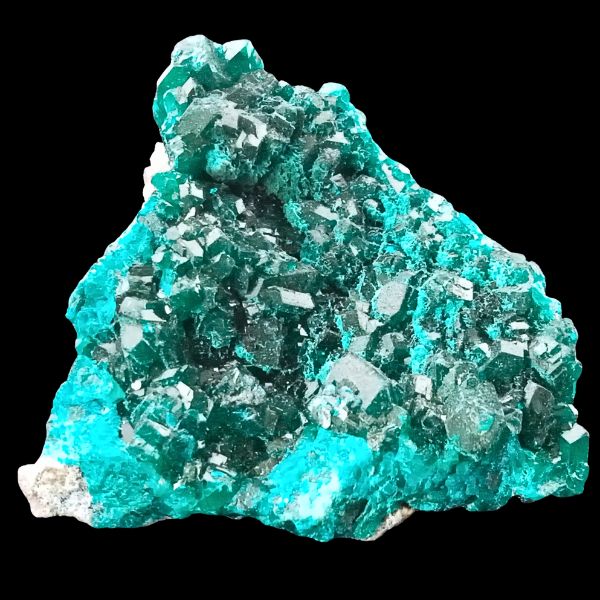 Dioptase verte brillante, cristaux détaillés, 74 g, Mine de Tantara, Katanga (RDC), autre vue avant