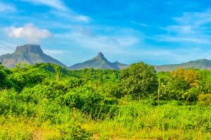 Panorama du paysage volcanique de Vijapur dans le Maharashtra, avec reliefs basaltiques et zones abritant des géodes d’Heulandite.