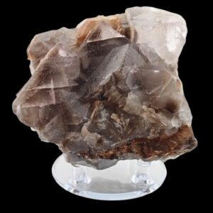 Fluorine du Balochistan en cubes cristallins présentée sur socle – vue de face du spécimen de collection
