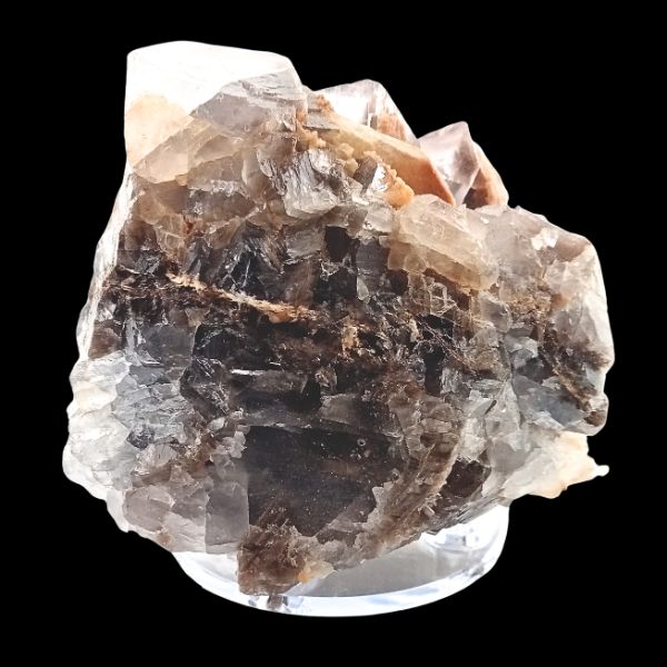 Fluorine du Balochistan en cubes cristallins sur socle – vue arrière du spécimen de collection