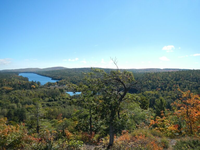 Vue panoramique du Michigan avec lacs, forêts denses et paysages naturels du nord des États-Unis