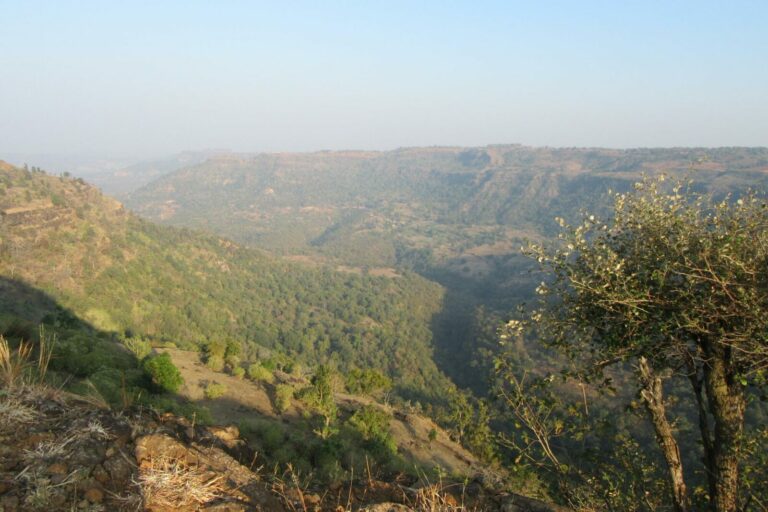 Vue panoramique de la vallée de Patalkot dans le Madhya Pradesh, Inde